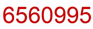 Number 6560995 red image