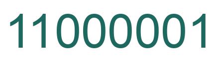 Number 11000001 green image