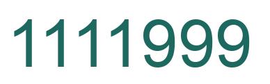 Number 1111999 green image