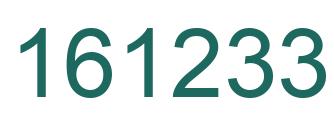 Number 161233 green image