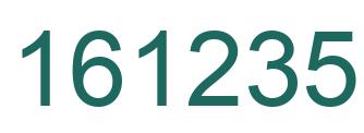 Number 161235 green image