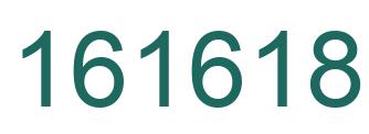 Number 161618 green image