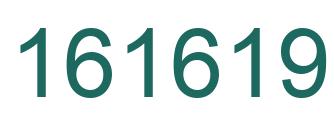 Number 161619 green image