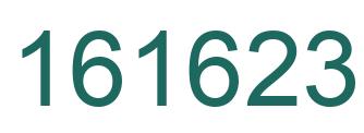 Number 161623 green image