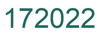 Number 172022 green image