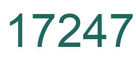 Number 17247 green image