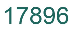 Number 17896 green image