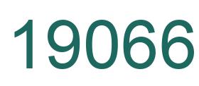 Number 19066 green image