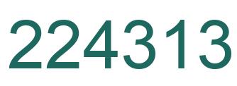 Number 224313 green image