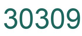 Number 30309 green image