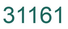 Number 31161 green image