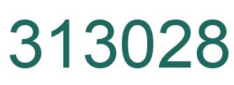 Number 313028 green image
