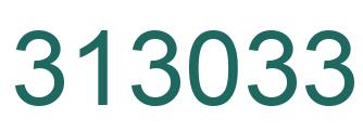 Number 313033 green image