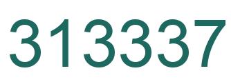 Number 313337 green image