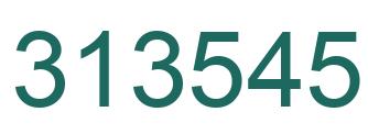 Number 313545 green image