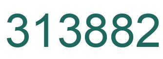 Number 313882 green image