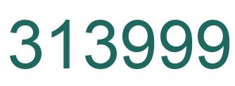 Number 313999 green image