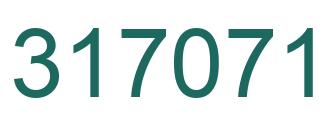 Number 317071 green image