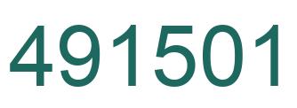 Number 491501 green image