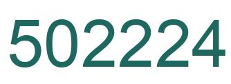 Number 502224 green image