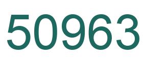 Number 50963 green image