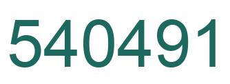 Number 540491 green image