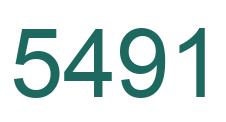 Number 5491 green image