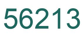 Number 56213 green image