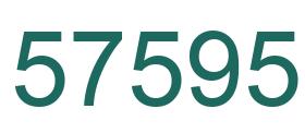 Number 57595 green image