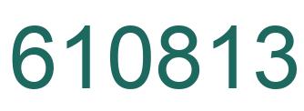 Number 610813 green image