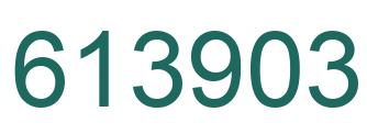 Number 613903 green image
