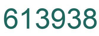Number 613938 green image