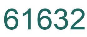 Number 61632 green image