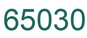 Number 65030 green image