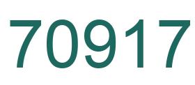 Number 70917 green image