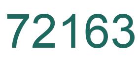 Number 72163 green image