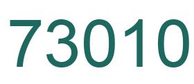 Number 73010 green image
