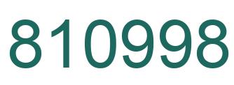 Number 810998 green image