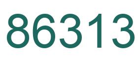 Number 86313 green image