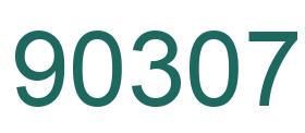 Number 90307 green image