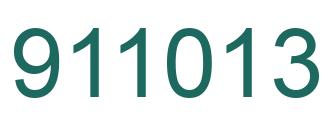 Number 911013 green image