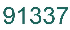 Number 91337 green image
