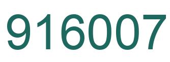 Number 916007 green image