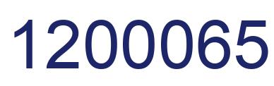 Number 1200065 blue image