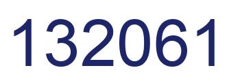 Number 132061 blue image
