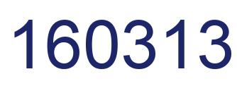 Number 160313 blue image