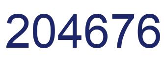 Number 204676 blue image