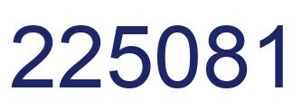 Number 225081 blue image