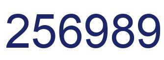 Number 256989 blue image