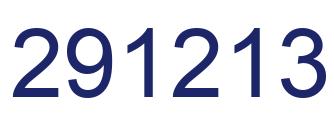 Number 291213 blue image